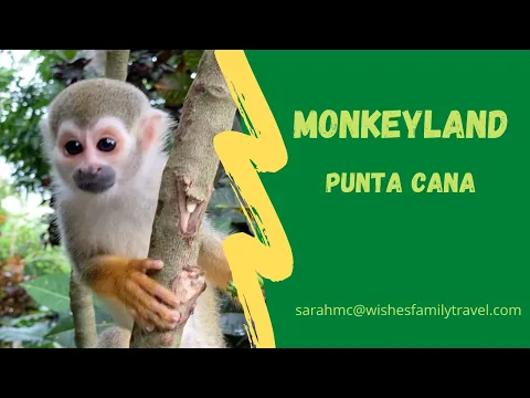 Monkeyland in Punta Cana